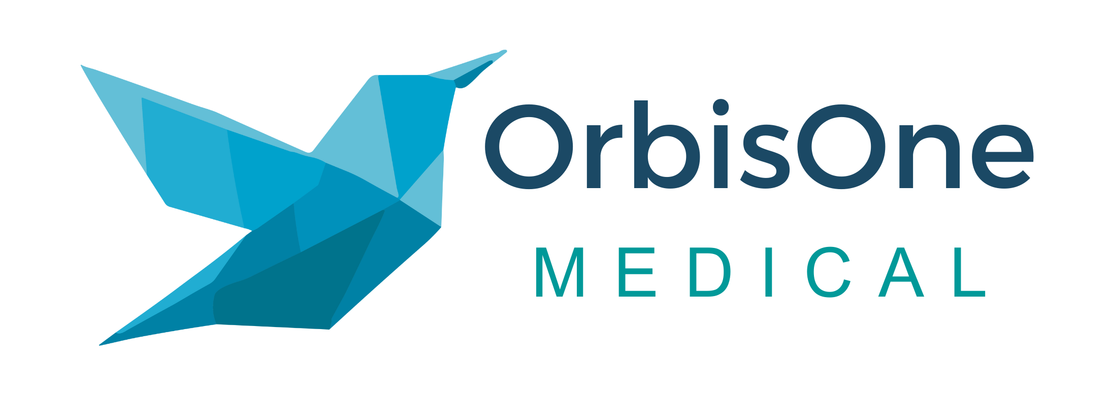 OrbisOne Medical